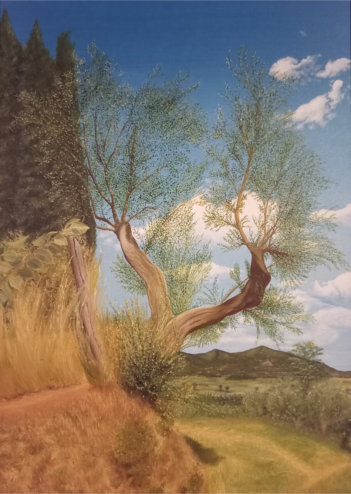 With the Brush and more