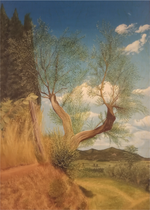 Main image De Natura Olivae